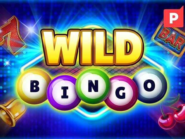 0044 bet Bingo Selvagem